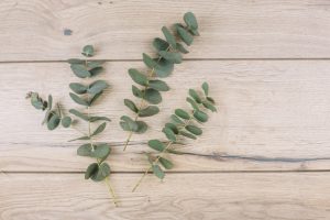 green-eucalyptus-populus-leaves-twigs-wooden-textured-background_23-2148066475
